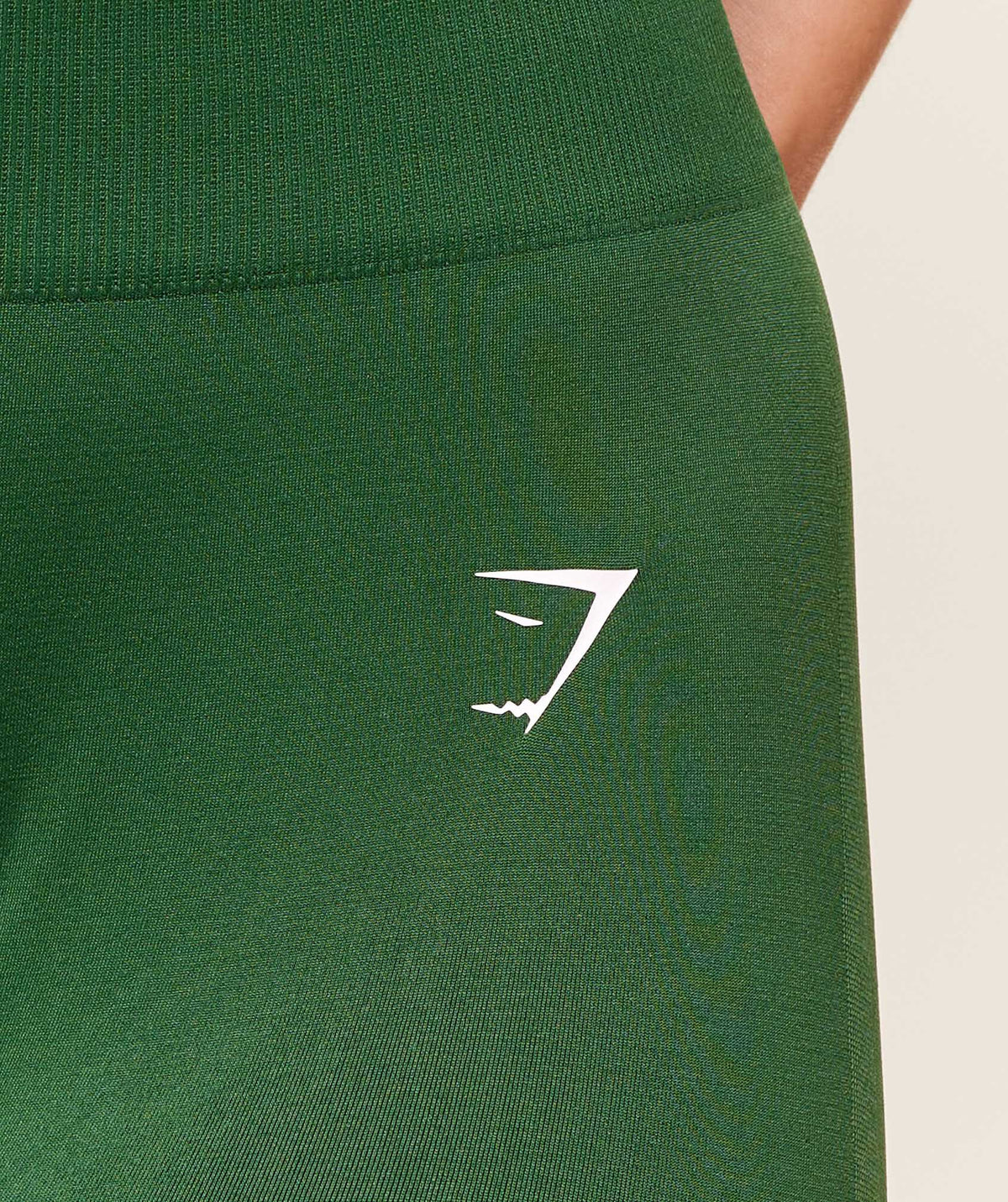 Everyday Seamless Leggings